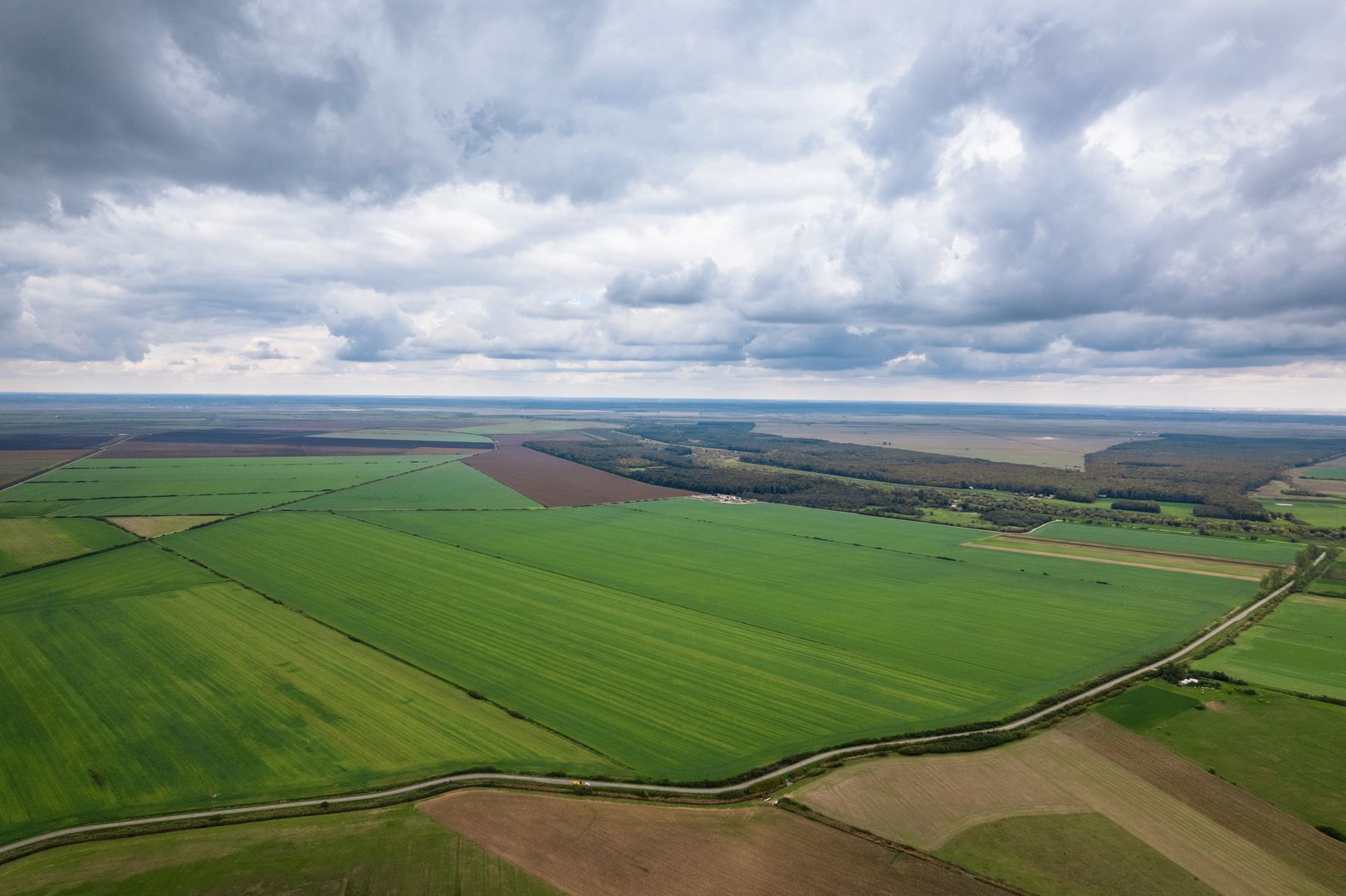 Teren arabil de 1299 hectare în Iași - Poză 1