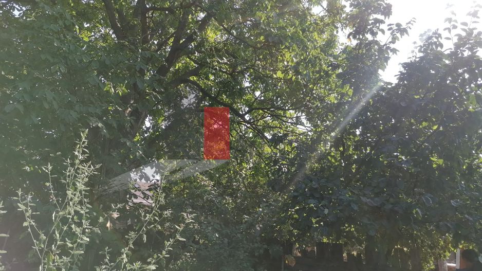 Afumati- Ilfov - teren 899 mp - 80€ /mp- Comision Cumparator ZERO - Poză 8