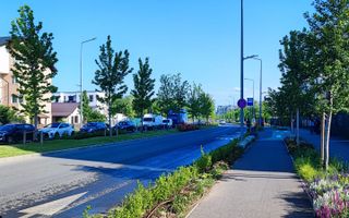 Aces stradal - Lot 2- Plan 2 - Poză 4