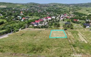 Teren Goruni Tomesti - Poză 3