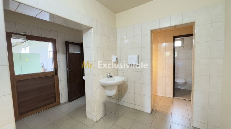 Clădire Industrială Hală Producție, Depozitare, Birouri-Teren 3140 mp - Carei - Poză 8