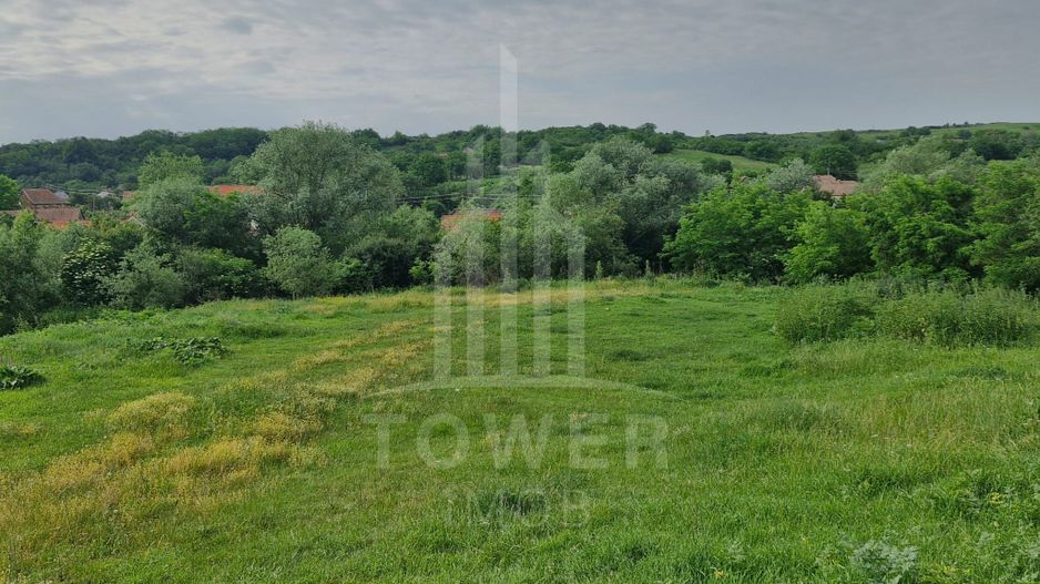 De vânzare Teren versatil 3.919 mp  in localitatea Armeni. Sibiu - Poză 1