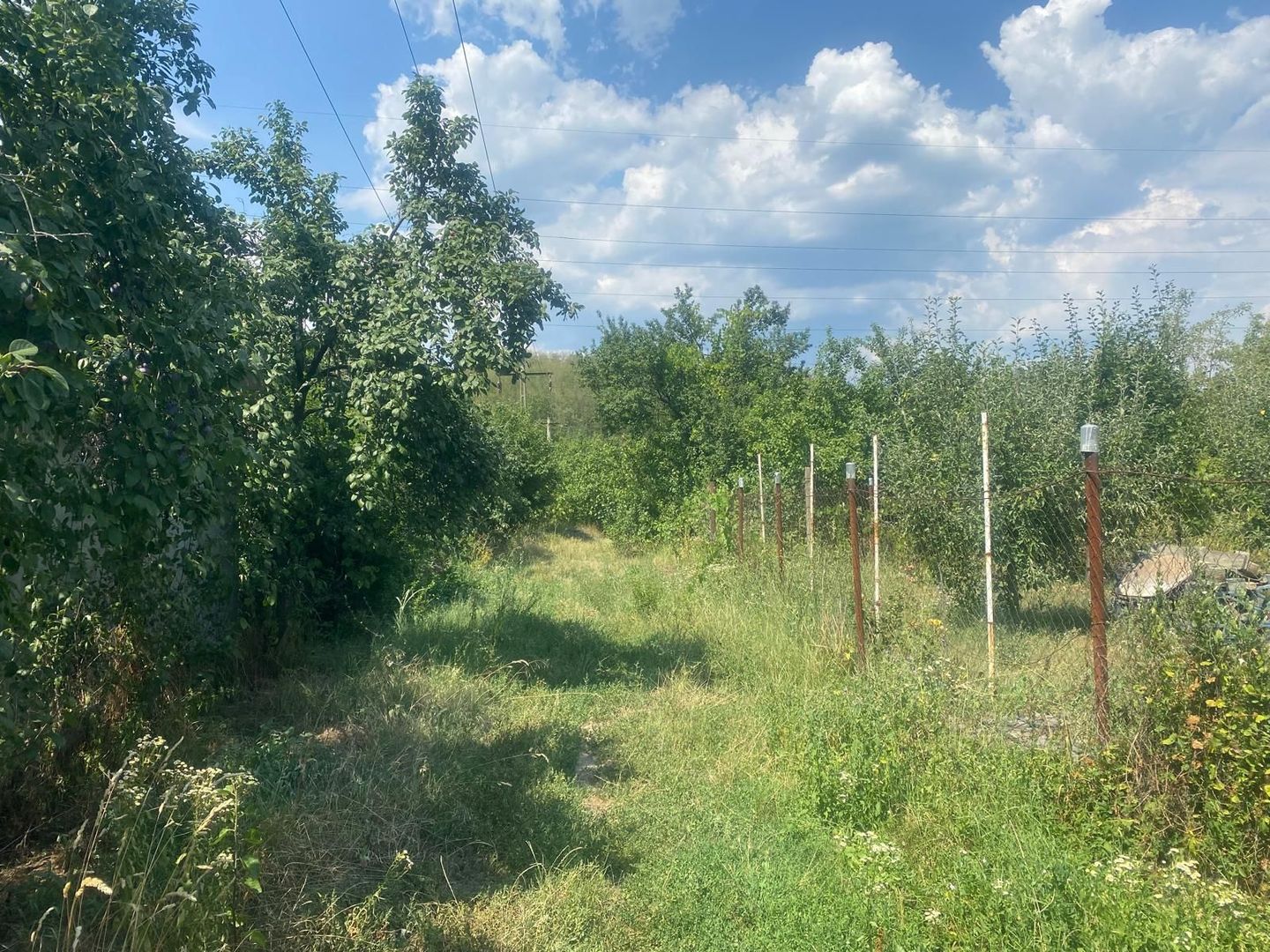 La cateva minute de oras! Vanzare teren intravilan in Viforata - Poză 4