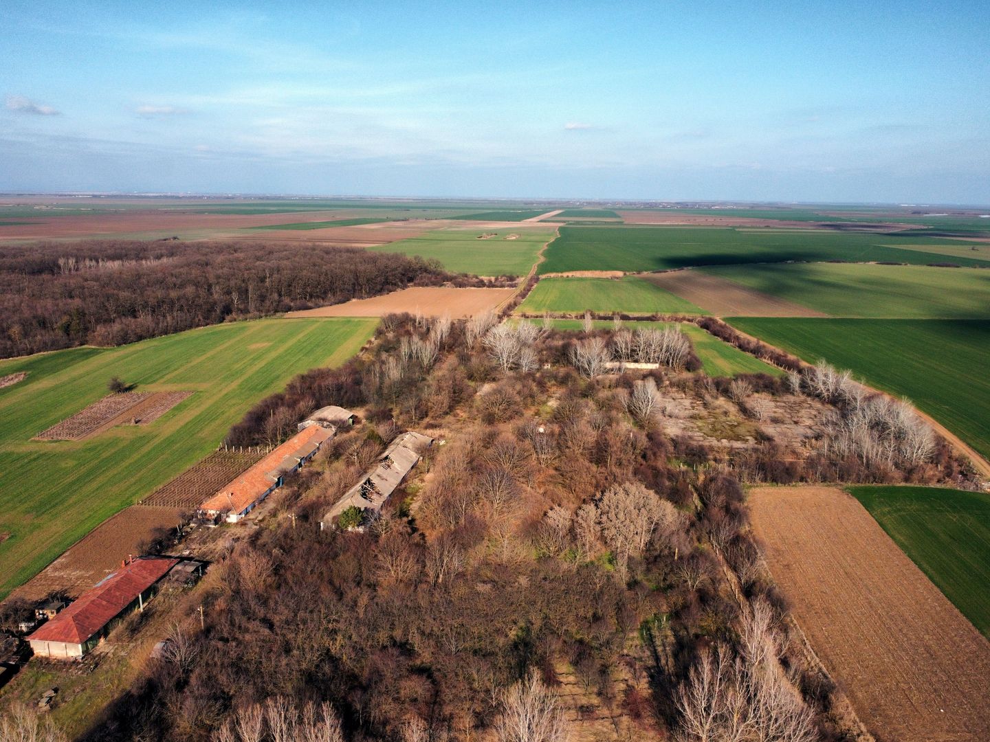 Ferma si livada de meri in judetul Ilfov - Poză 21