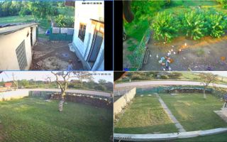 2 Case 240 mp-teren 1328 mp-livada-Cristesti 48 km de Piatra-Neamt - Poză 8