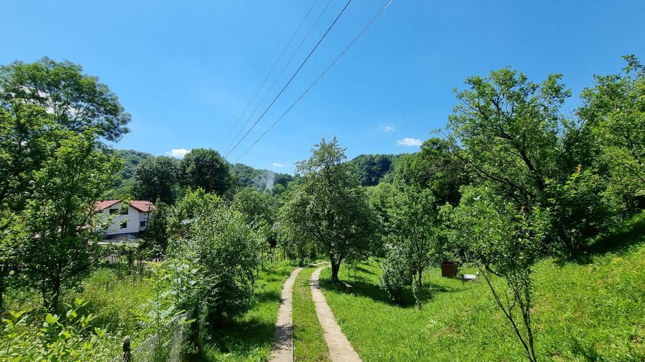 Casa de la marginea padurii! - Poză 4