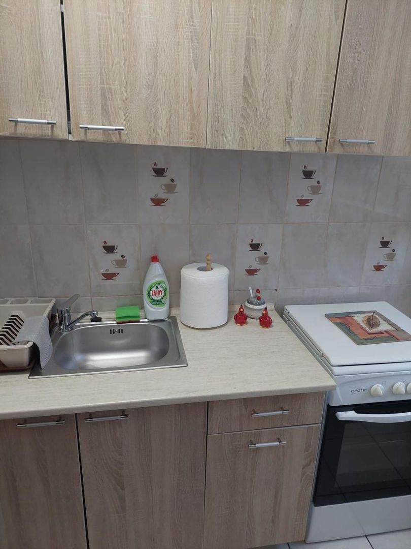 Garsoniera zona Costin Georgian - Lucretiu Patrascanu - Poză 15