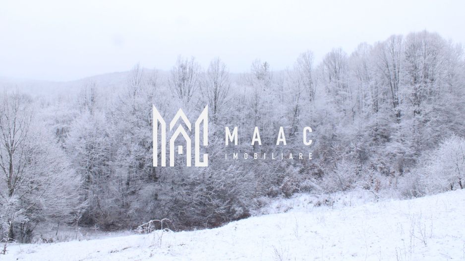 Teren cu izvor de apă minerală  Dangești, Punctul Valea Mare - Poză 9