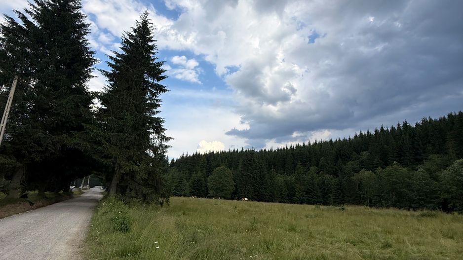 PARCELE DE VÂNZARE, pe malul râului BÂSCA, COMANDAU, COVASNA - Poză 3