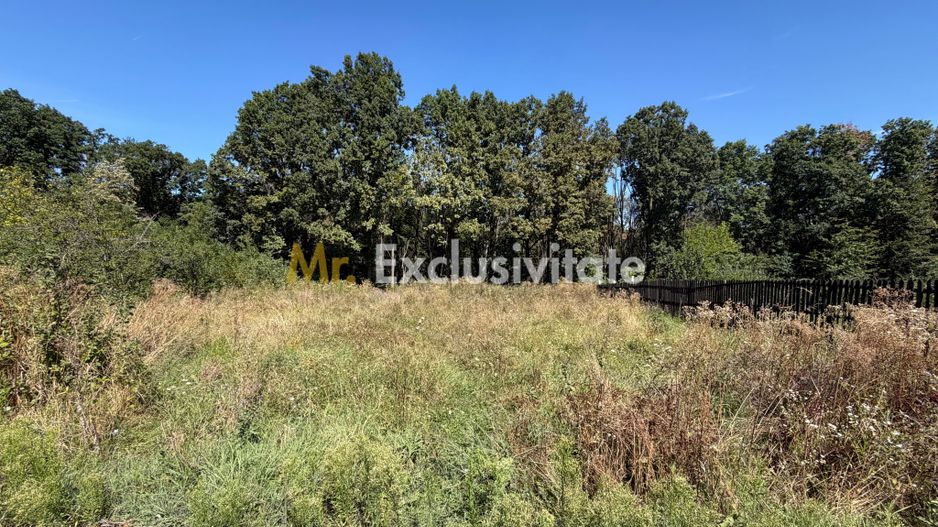 Teren intravilan 704 mp, toate utilitățile – Moșoaia - Poză 5