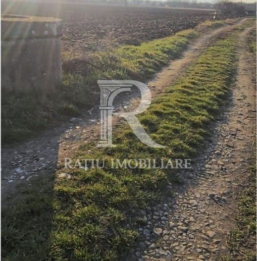 Teren Intravilan | 1780 mp | Sânmartin - Poză 2