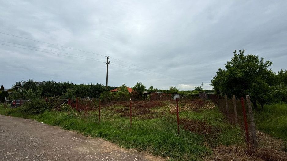 Teren Intravilan Padurea Noroieni - Poză 5