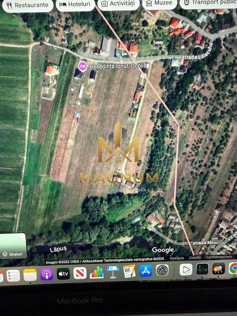 Teren pentru casă in Ocolis  | 953 mp | - Poză 3