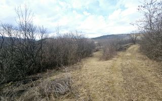 Teren intravilan de vanzare, Geogiu de Sus - Poză 6