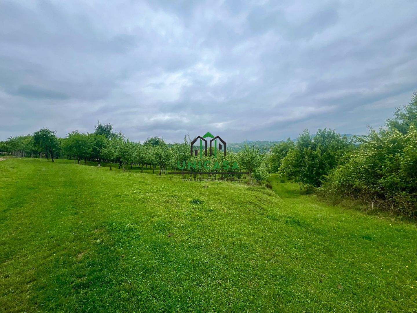 Teren 3507 mp/ Seaca/Calimanesti - Poză 1