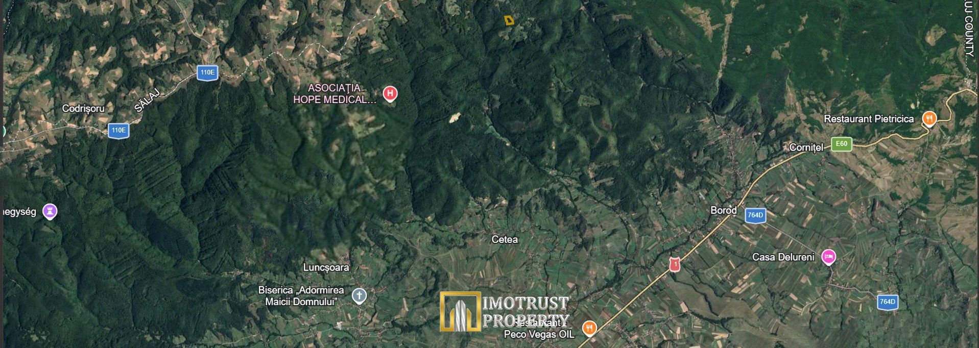 Pădure și pășune de vânzare 8,2037 ha Borod, Bihor - Poză 3