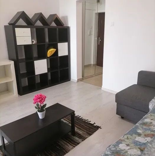 GARSONIERA MODERNA MOBILATA & UTILATA BLOC REABILITAT TERMIC CENTRAL 1 MAI - Poză 3