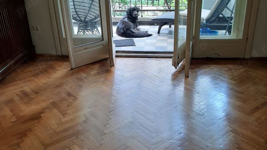 Vând apartament 185mp la Cișmigiu - Poză 8