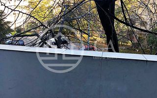 Apartament de inchiriat cu 3 camere in zona Nufarul, Oradea - Poză 10