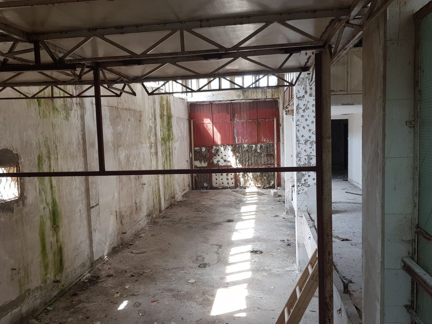 Teren - hala de vanzare | Damaroaia | Bucurestii Noi | Pajura - Poză 5