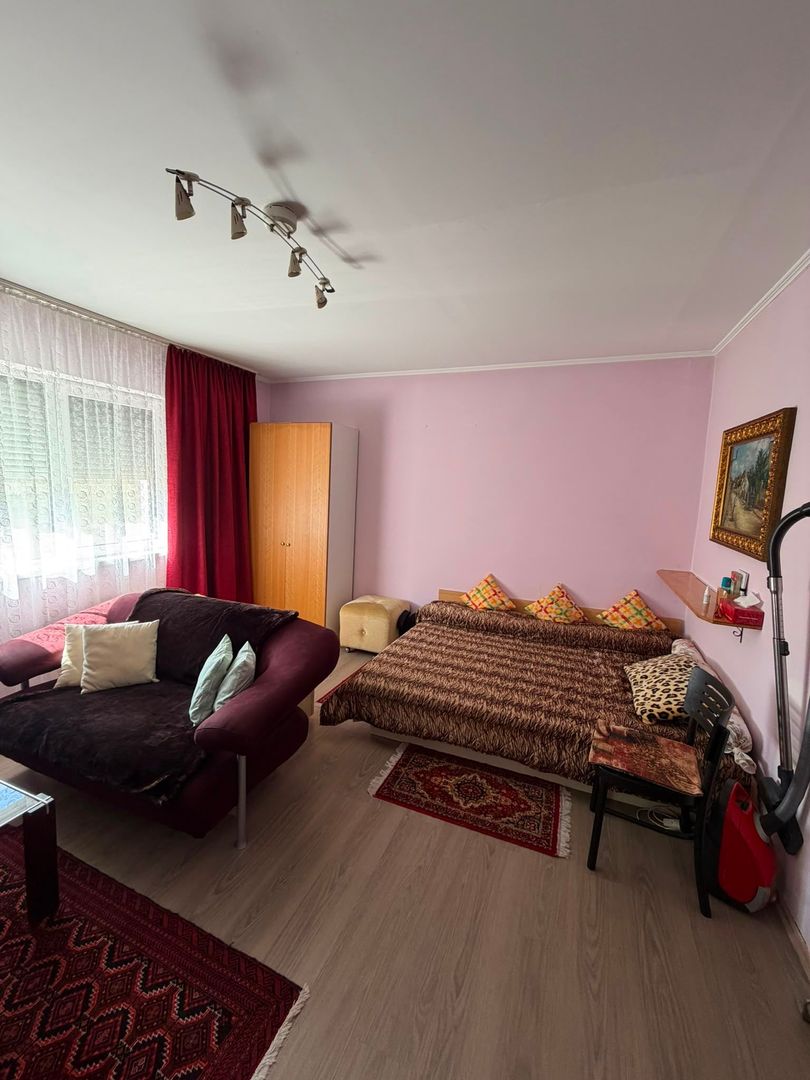 2 case dintre care una cu garaj in Baile 1 Mai - Poză 8