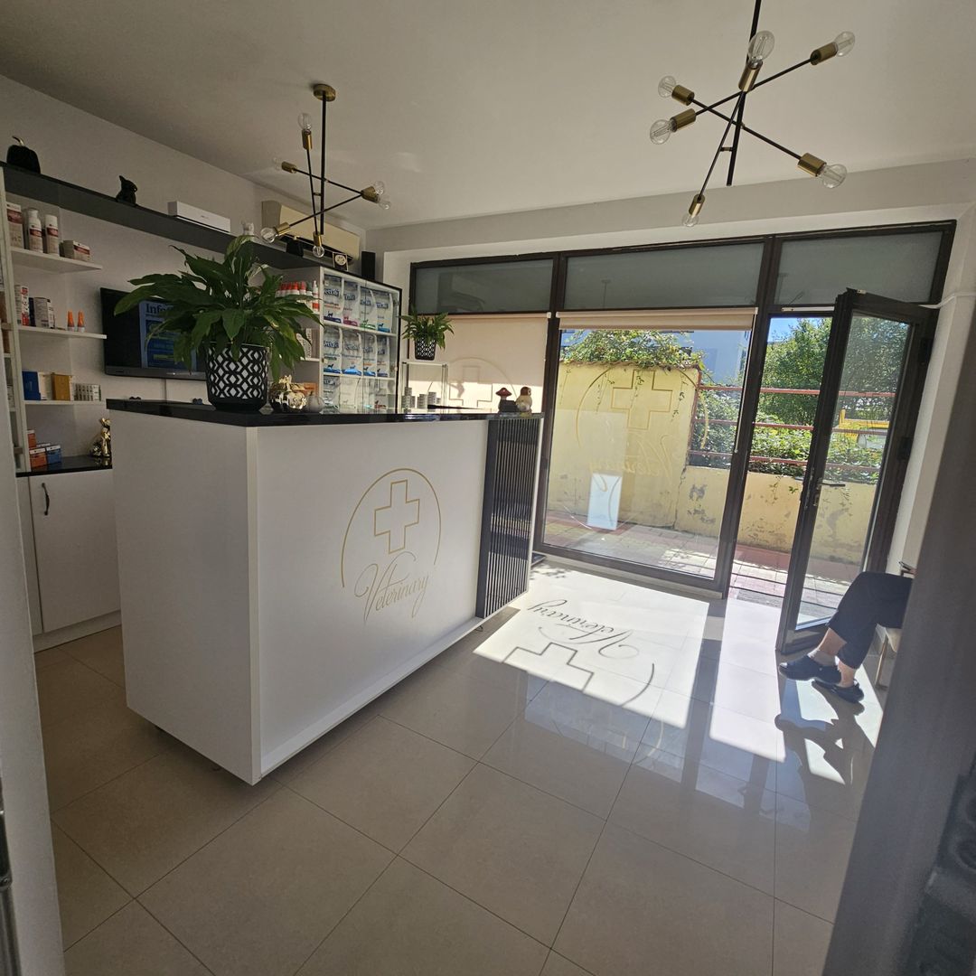 OCAZIE Spatiu Comercial Herastrau/Aviatiei - Poză 1