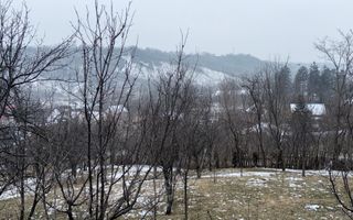 Teren 4652 mp cu izvor pe el, Lunca Mare, lângă păstrăvăria Doftana - Poză 6