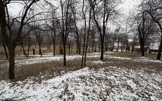 Teren 4652 mp cu izvor pe el, Lunca Mare, lângă păstrăvăria Doftana - Poză 2