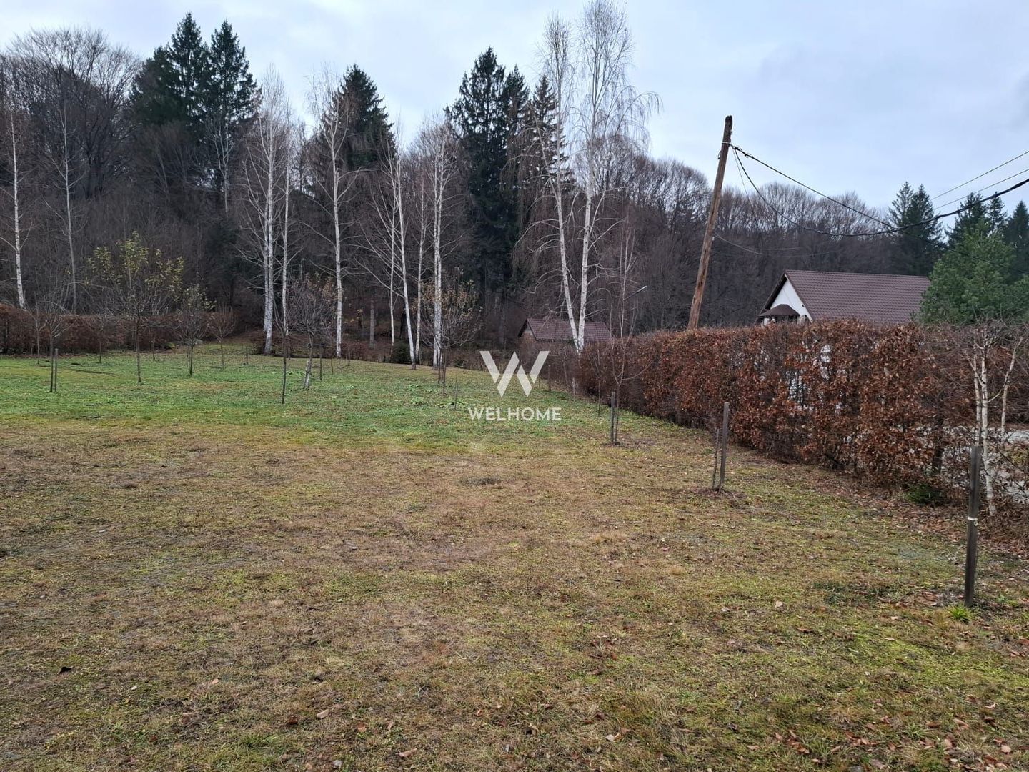 Teren 2000 mp, langa padure,  pe Valea Avrigului - Sibiu - Poză 7