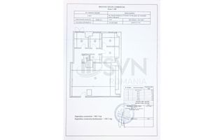 REC3001755 Spatiu comercial Piata Victoriei 117 mp vitrina 10 ml la strada renov - Poză 13