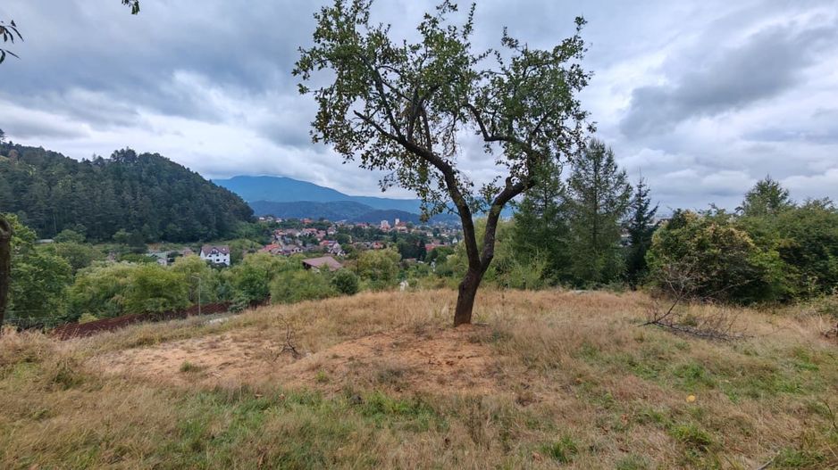 Teren intravilan cu vedere panoramica Sacele, Brasov - Poză 11
