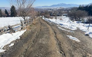 Teren Intravilan 1.500 mp | Vedere Panoramică| Tohanita - Poză 6