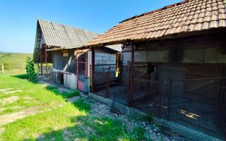 Casa la tara, Calea Mare, Bihor, teren mare, 2 intrari auto – vanzare - Poză 5