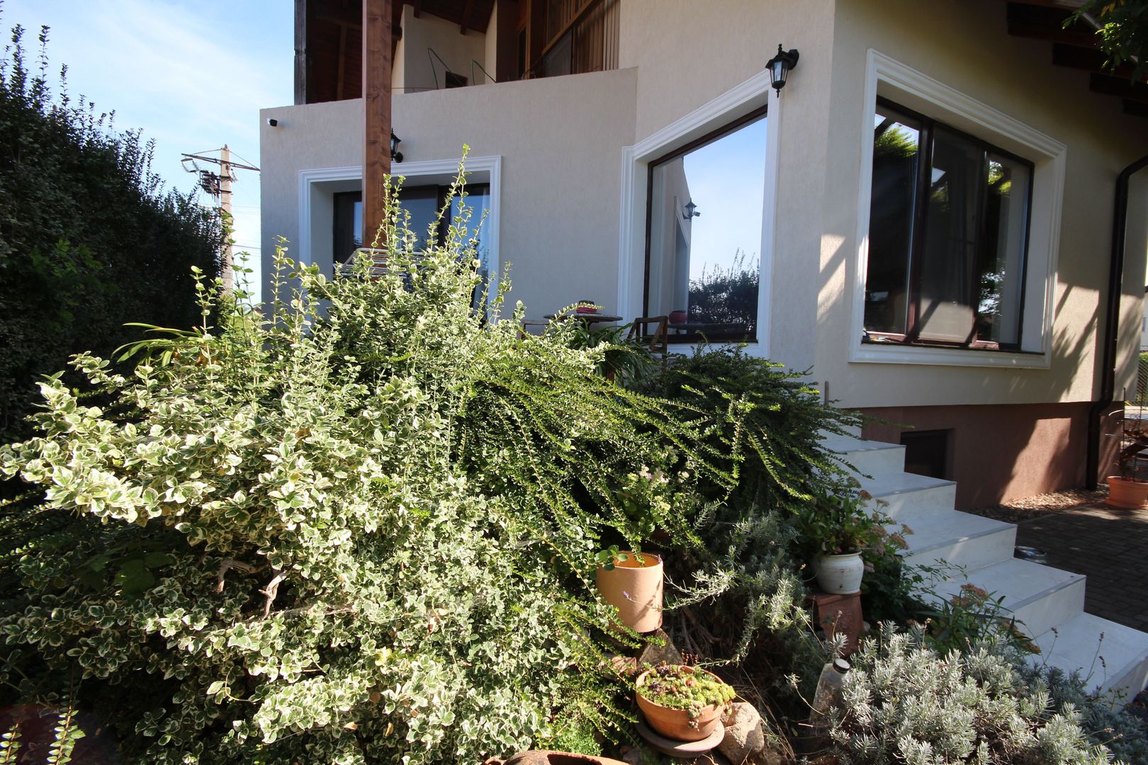 Clasica si primitoare - Poză 6