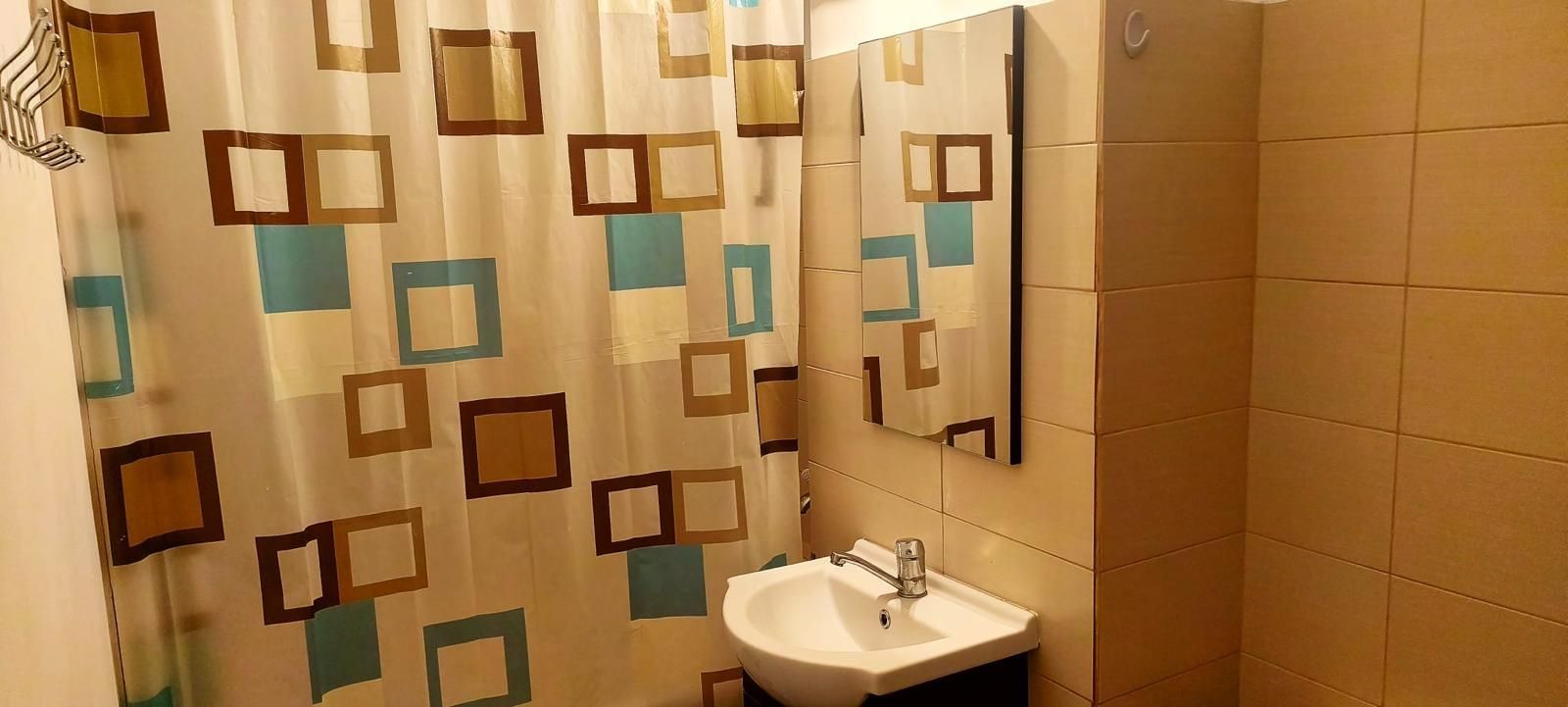 GARSONIERA - ALEXANDRIEI, BUCATARIE INCHIS, MOBILAT/UTILAT MODERN - Poză 10