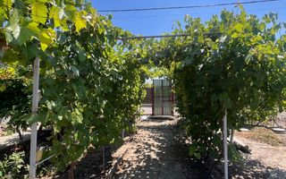 Casă individuală de vânzare în Braniștea - Teren 464 mp -76000 euro - Poză 3