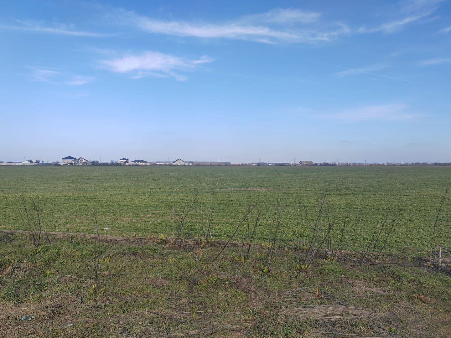 Cernica Tanganu super pret rezidential sau depozitare - Poză 3