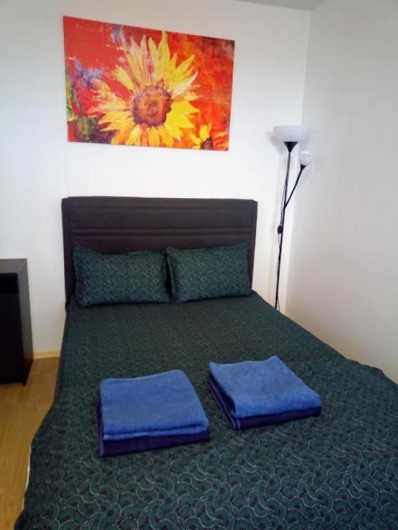 AP. 2 CAMERE LACUL MORII, BLOC NOU, CENTRALA, MOBILAT/UTILAT MODERN - Poză 3