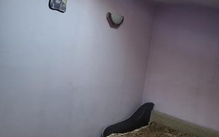 3 camere  | Mosilor- Cinematograf  Europa  | Mansarda | Creditabil - Poză 14