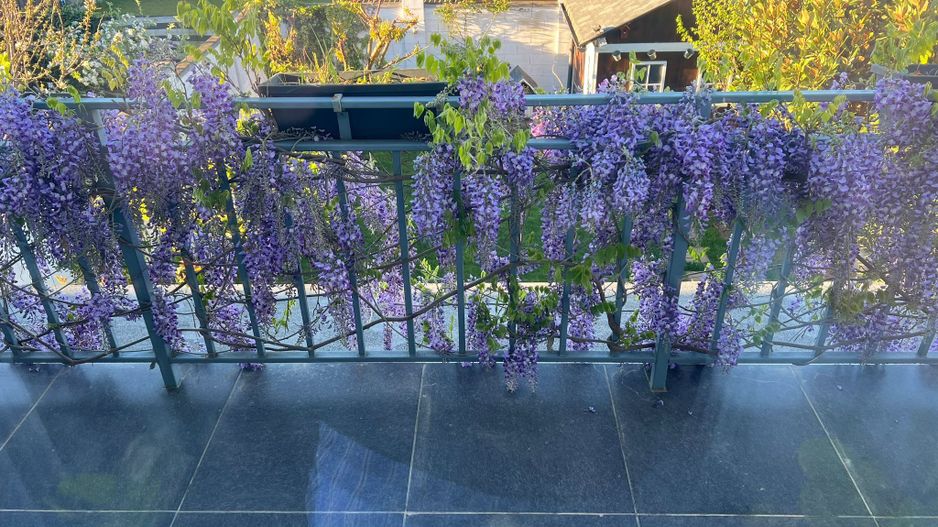 DUPLEX  COMUNA GIROC - Poză 21