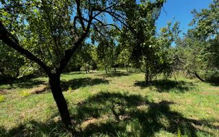 CASA 4 CAMERE CAMPULUNG, TEREN 3213 MP - Poză 28