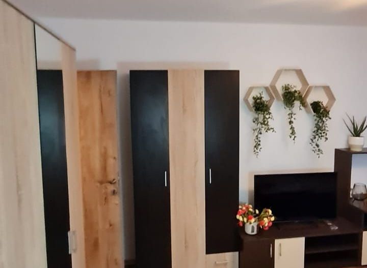 De vanzare Apartament 2 Camere, Gorjului Sector 6 - Poză 7
