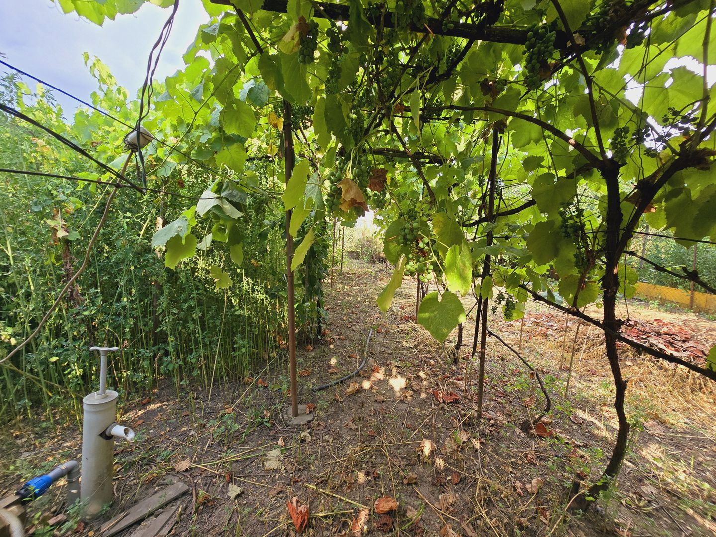 Teren intravilan 633mp in Gradiste - Poză 3