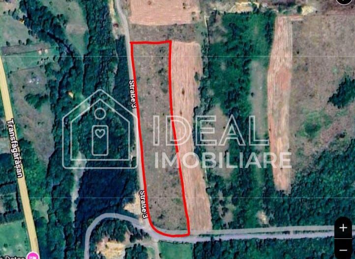 Teren extravilan 6.500 mp – Cârțișoara | Comision 0% - Poză 8