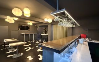 Vilă P+1 ultracentral | Terasă 139 mp | Ideal business - Poză 4