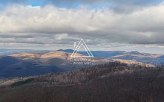 19.5 Hectare în Zona Turistică Montană – Bulz, Bihor - Poză 1