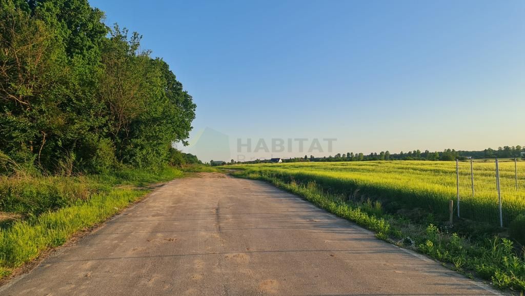 Teren | Poiana Ciolpani | Iris Orangerie - Poză 4