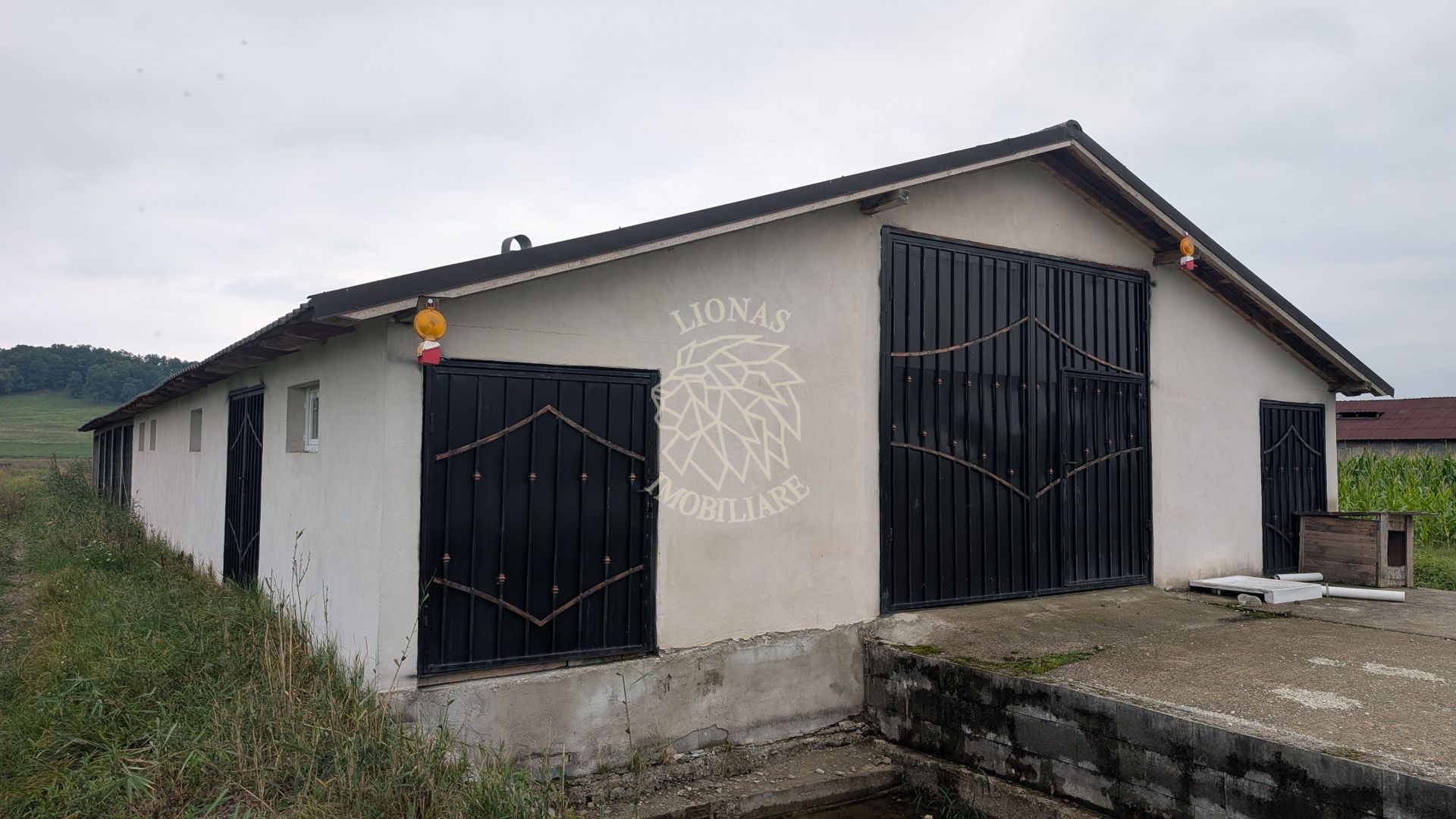 Hala Noua 400 mp-teren 5000 mp-ideal ferma, productie-Cepari - Poză 3