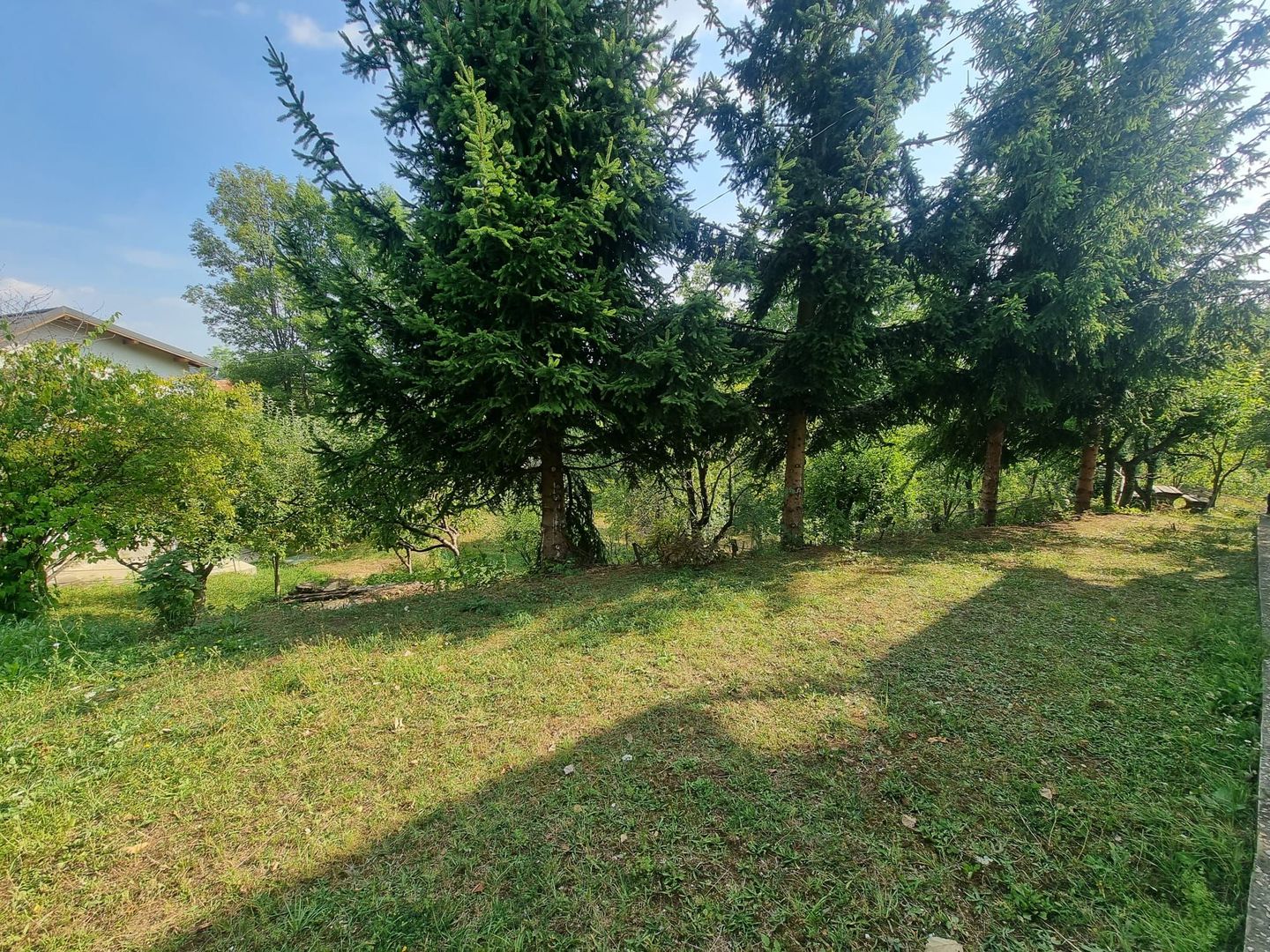 Casa de vacanta in Nistoresti - Poză 1