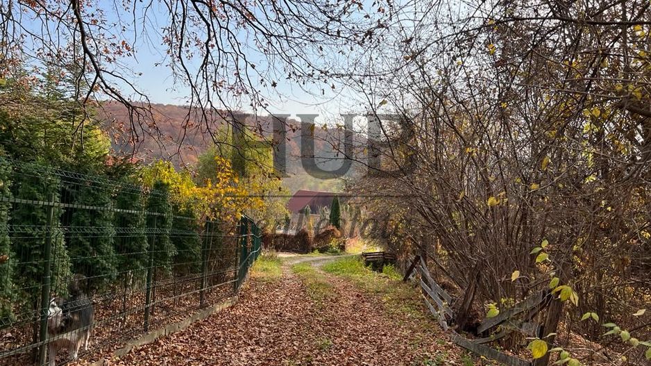 TEREN 1095MP -PODIS -DN 2G- BACAU -MOINESTI - Poză 5